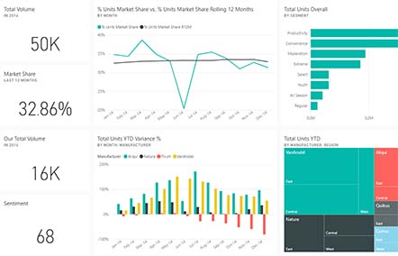 Business Intelligence: A Complete Overview For 2024